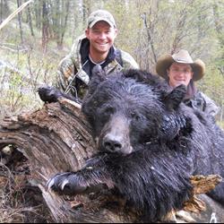 Carl-Bear.jpg